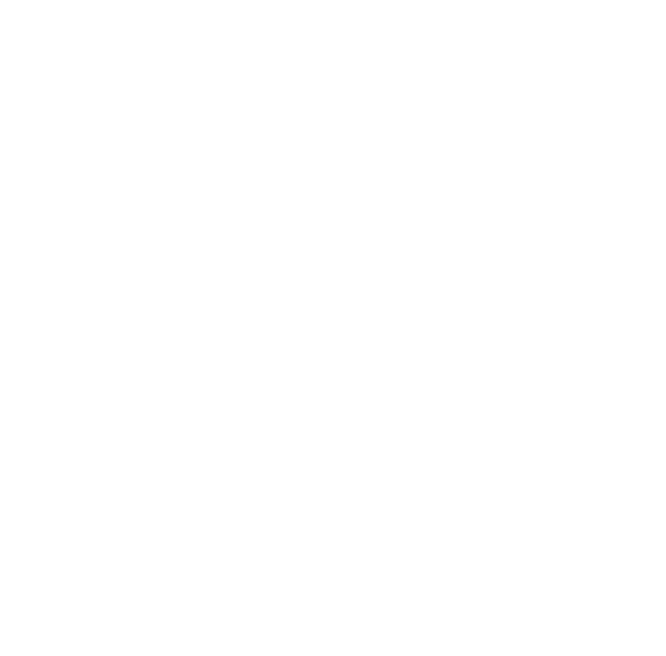 Reconciliation Action Plan - Reflect